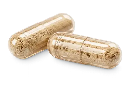 How to use: - GLP-1 Stomach Soothe (3-Month Supply) - Willow Health Services Inc