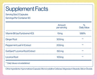 GLP-1 Stomach Soothe (3-Month Supply)
