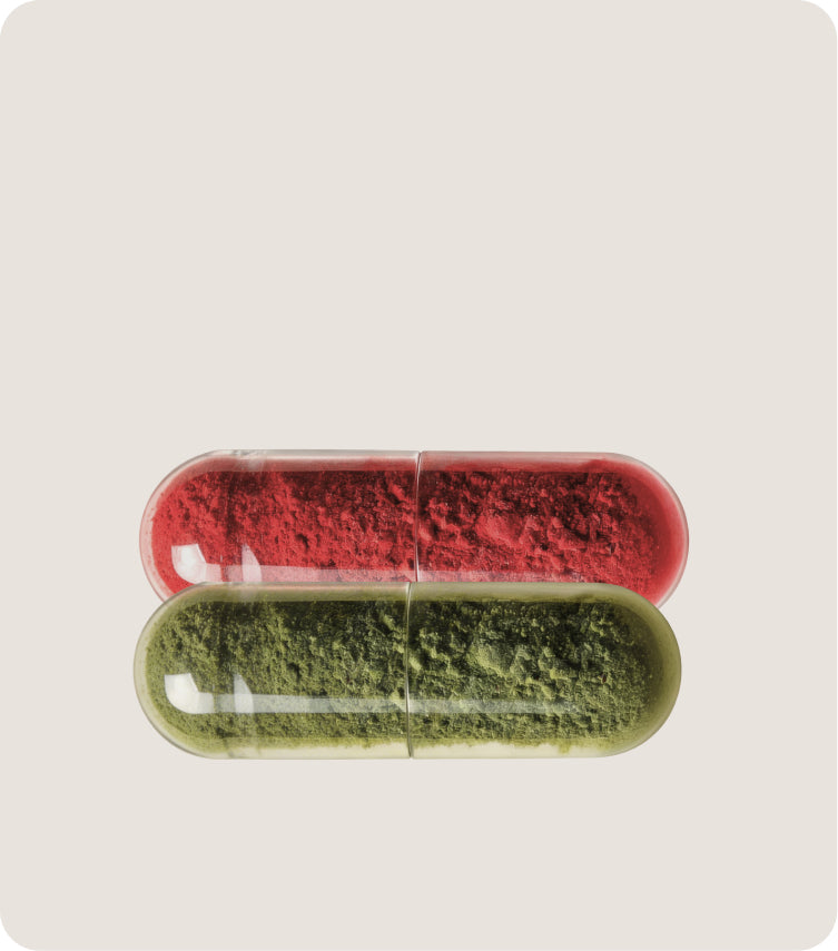 The GLP-1 Daily Essentials Bundle is designed to fit seamlessly into your ongoing wellness routine. - GLP-1 Daily Essentials Bundle (3-Month Supply) - Willow Health Services Inc
