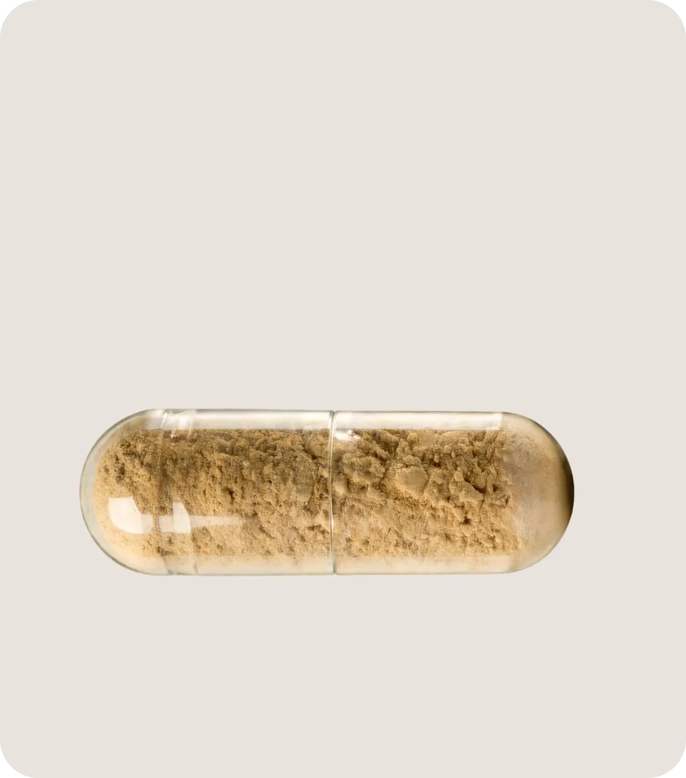 GLP-1 Stomach Soothe is designed to fit seamlessly into your ongoing wellness routine. - GLP-1 Stomach Soothe (3-Month Supply) - Willow Health Services Inc